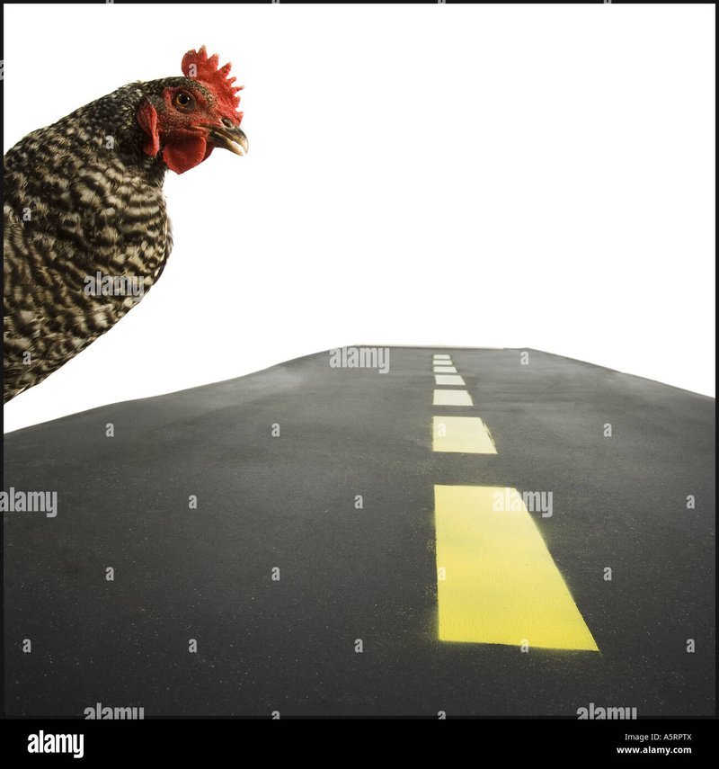 Ontdek het Echte Geheim van de Chicken Road Casino in Nederland!
